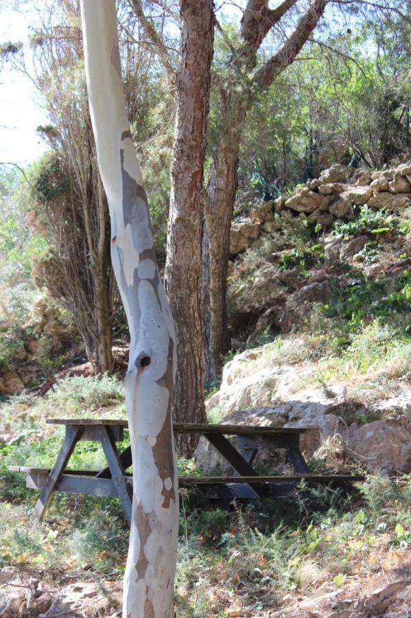 La Pineta Villa Favignana Kültér fotó